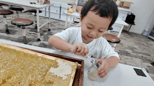 칠곡 아이랑] 대구 근교 유아 체험, 칠곡 꿀잼농장(꿀벌인)