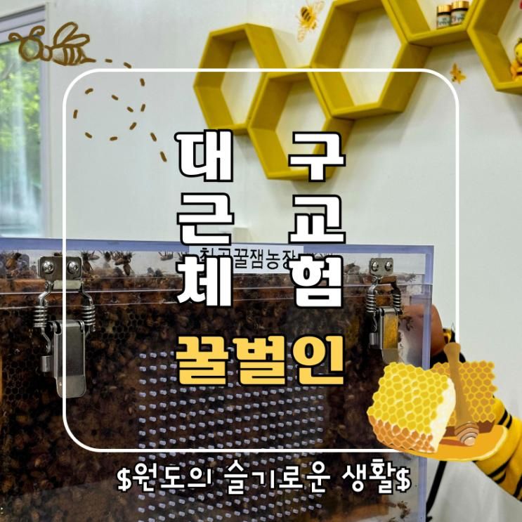 [경북놀거리] 아이와 함께 대구근교체험 칠곡꿀잼농장 꿀벌인...