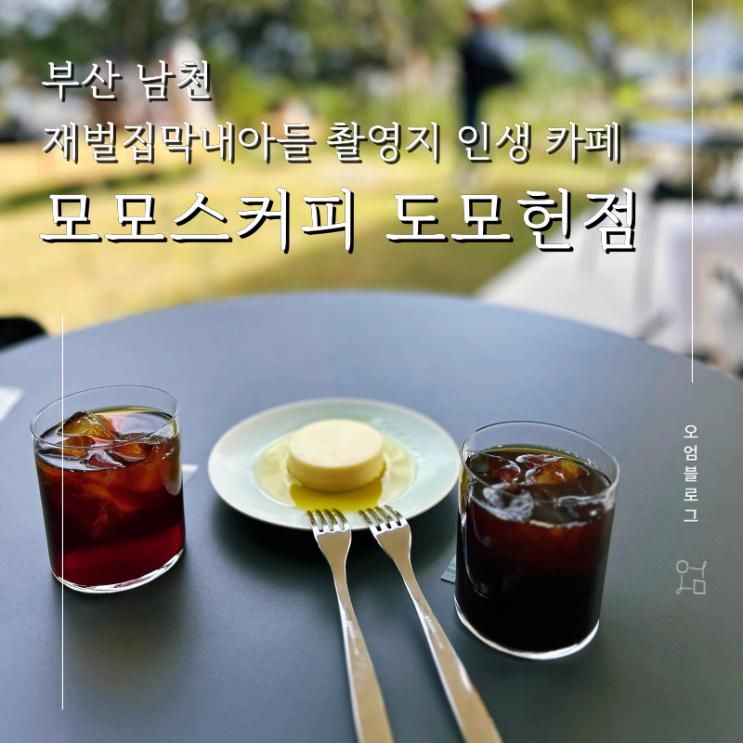 부산 인생 카페 모모스커피 도모헌점
