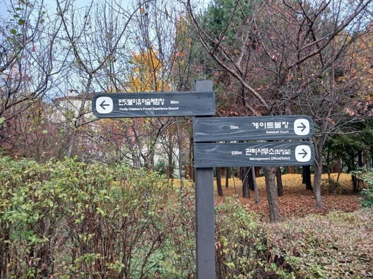 반딧불이 유아숲체험장