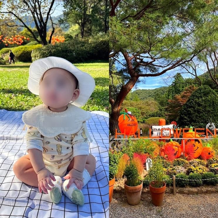 포천 서운동산 서울근교... 추천 (주차, 예매, 카페, 동물먹이주기)
