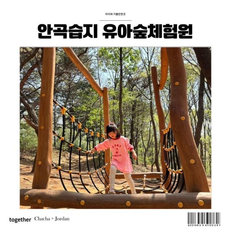 유아숲체험원 안곡습지 삐약이체험숲