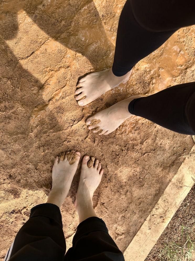 일산 고봉산 황톳길 안곡습지공원 가볼만한곳