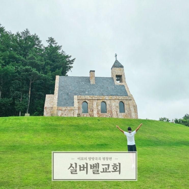 강원도 평창 실버벨교회 포토존 동물농장 꼬마기차 핫플...