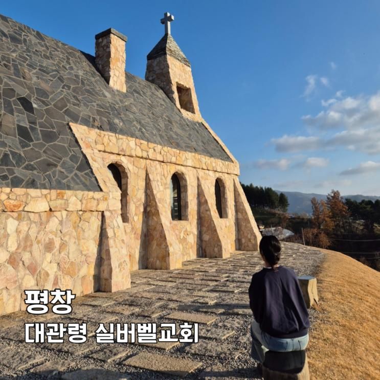 대관령 가볼만한곳 평창 실버벨교회 동물농장