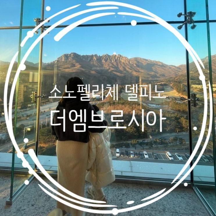 강원도 소노펠리체 울산바위뷰 델피노 더엠브로시아 카페...