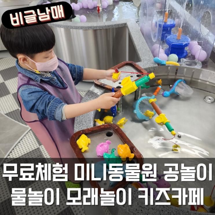 부산광역시교육청유아교육진흥원 무료체험 미니동물원...