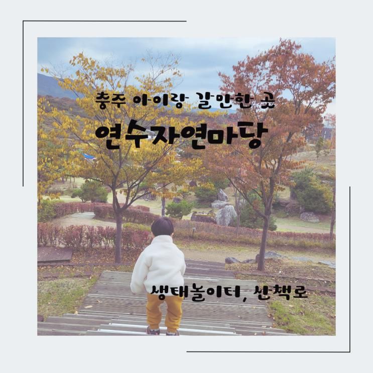 충주 아이랑 갈만한 곳 연수자연마당