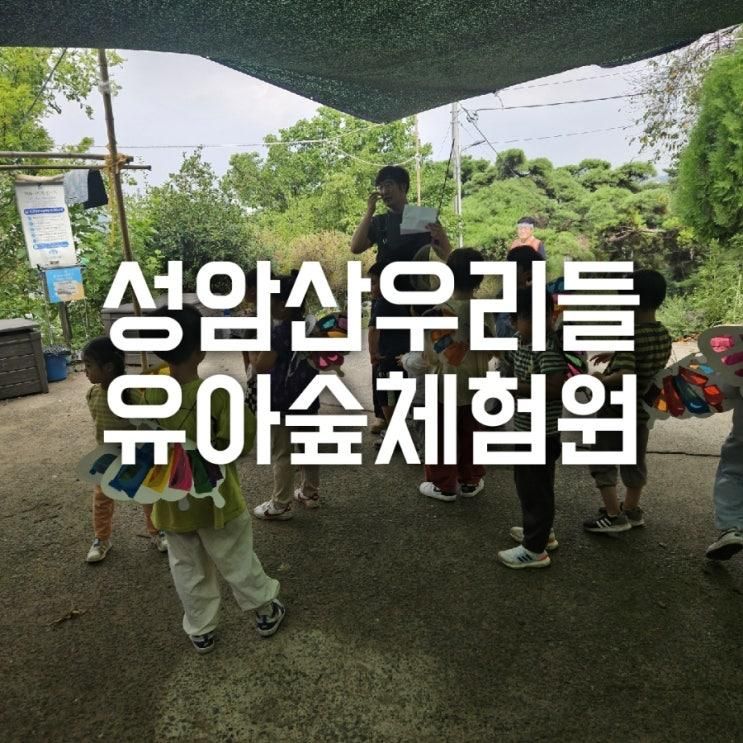 주말 아이 숲체험하기 좋은 경산 성암산우리들숲체험원