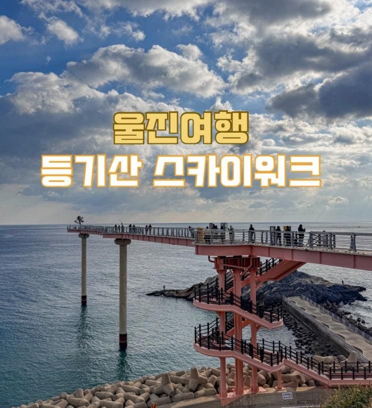 경북 울진 가볼만한곳, 아이와 등기산스카이워크 겨울 일출 여행