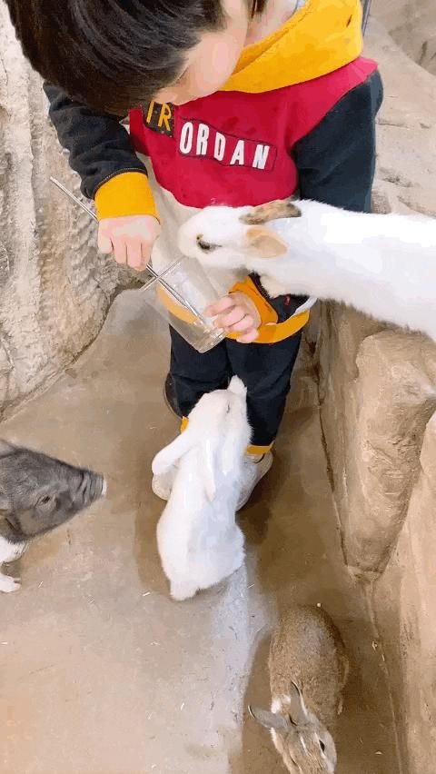 인천실내동물원 아이와함께 쥬벅스 앤 쥬니멀 다녀왔어요