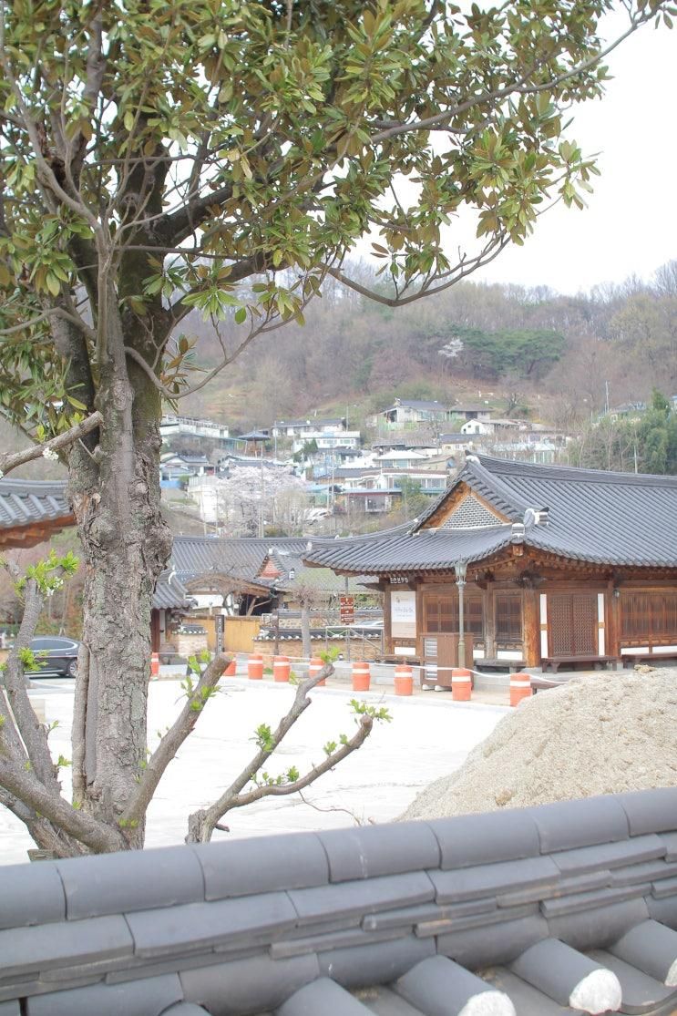 전주 가볼만한 곳 한옥 마을 옆 자만 벽화 마을