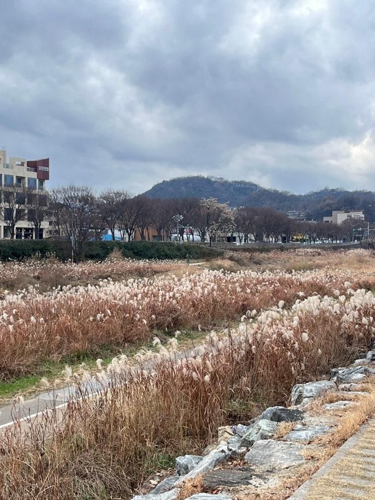 겨울전주여행 1 | 연화정도서관 한벽터널 한벽당 청연루...
