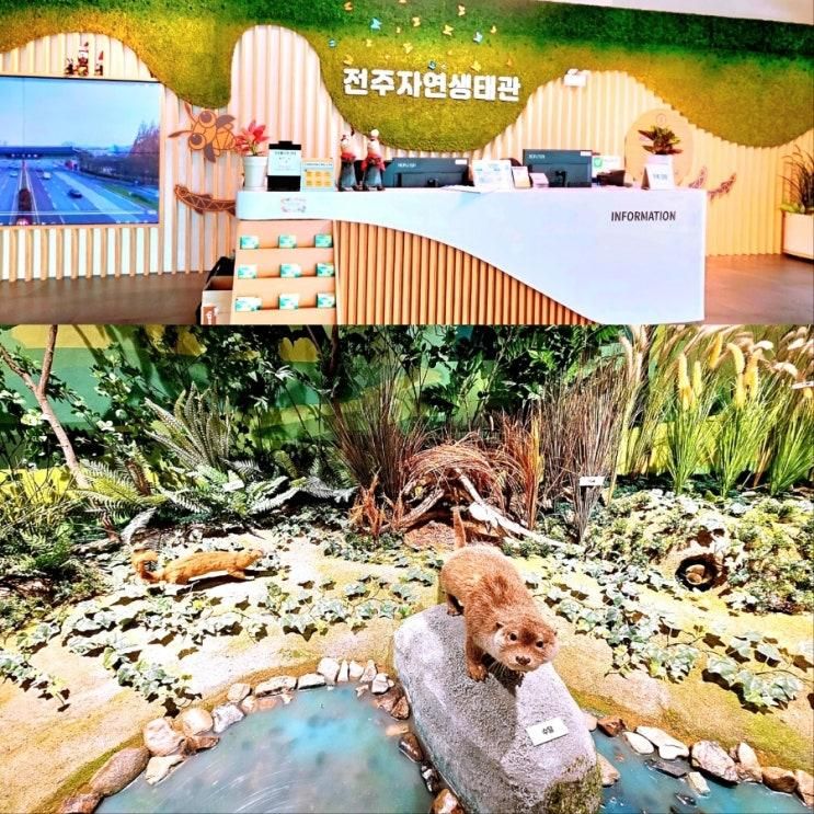 전주 자연생태관 아이랑 실내 체험