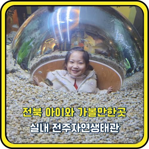 전북 아이와 가볼만한곳 실내 전주자연생태관