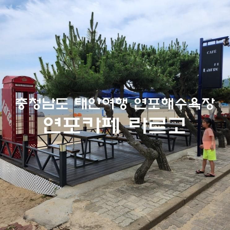 태안 연포카페 라르고 연포해수욕장 오션뷰 감상하고 아이와...
