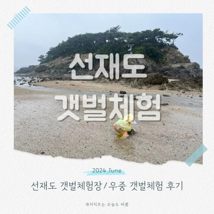 캐기 선재도 사메기 갯벌체험장 비와도 재밌어요! 대부도 갯벌체험