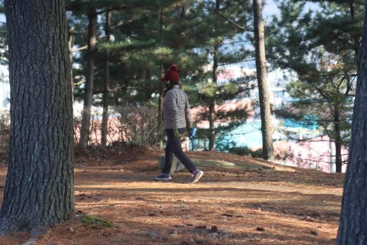 충남 관광지 추천 도심 속 울음산공원