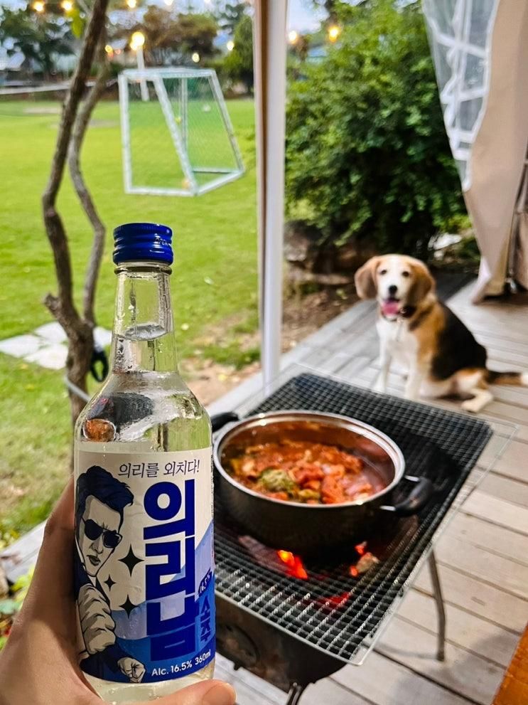 안성 애견 동반 캠핑장 셀프 바베큐 하러 양촌바베큐