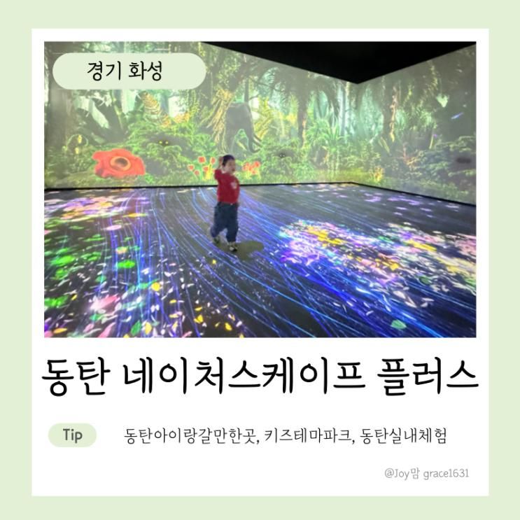 동탄 아이랑 가볼만한곳 네이처스케이프 플러스 라크몽...