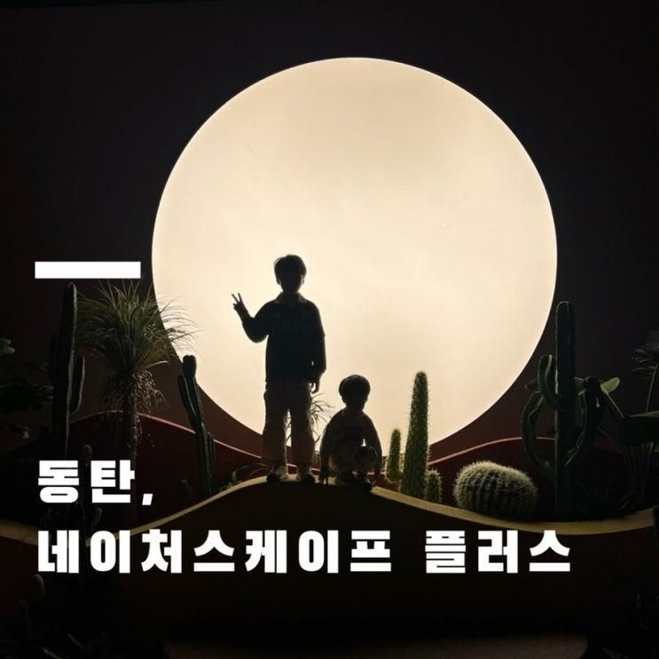 가볼만한곳 키즈카페 네이처스케이프플러스 라크몽가볼만한곳