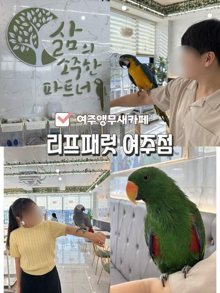 여주앵무새카페 리프패럿 여주점 이색데이트 추천해요!