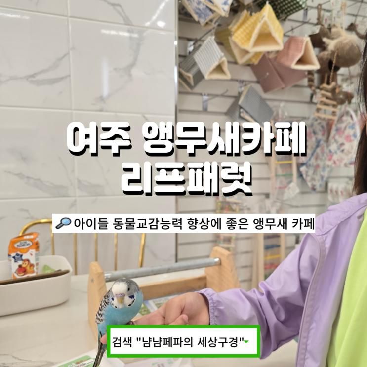 여주 아이와 가볼 만한 앵무새 카페 리프패럿 여주점