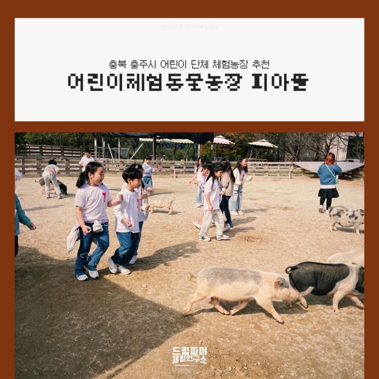 근교 어린이 동물 체험농장... 이천 어린이체험동물농장 피아뜰