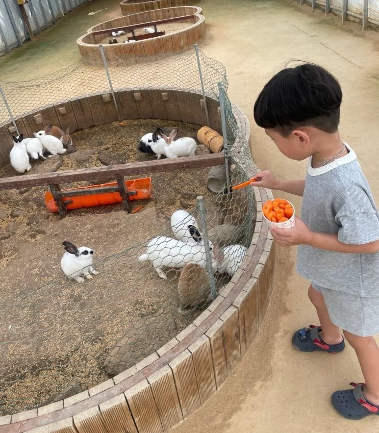 경기도 이천 아이랑 가볼만한곳 어린이체험동물농장피아뜰...