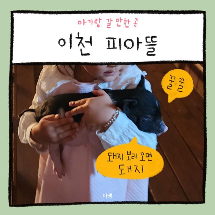 이천 아기랑가볼만한곳ㅣ이천 어린이체험동물농장 피아뜰...