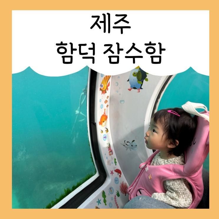 제주 함덕 잠수함 21개월 아기랑 탑승한 후기 (가격, 예약...