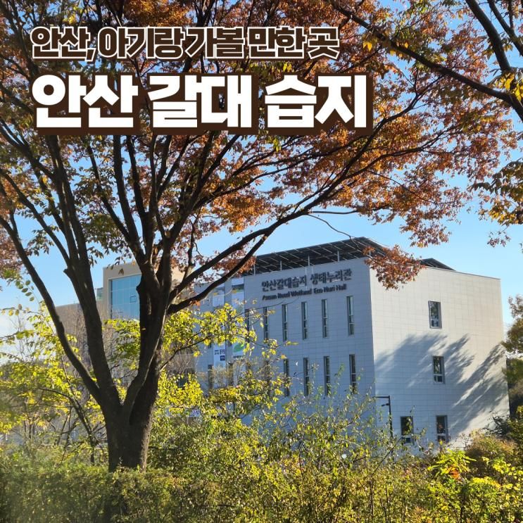 온도... 습도... 완벽♥ 안산 갈대 습지 공원 & 생태누리관