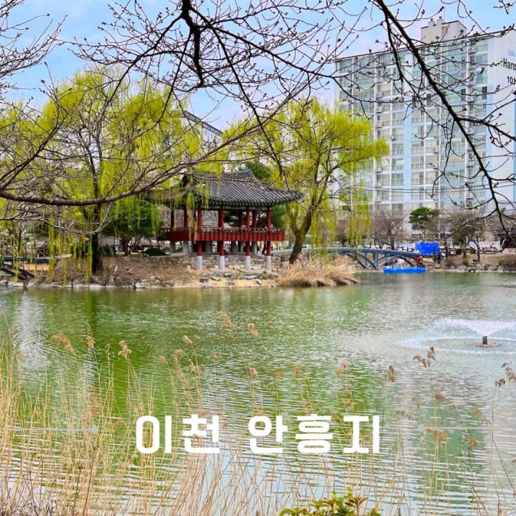 이천 벛꽃 이쁜곳 산책로 데이트코스 안흥지