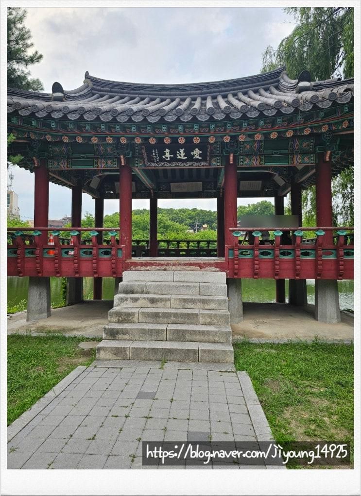 동심의길 따라 안흥지 내 문화재 애련정 데이트코스 도심속 산책길