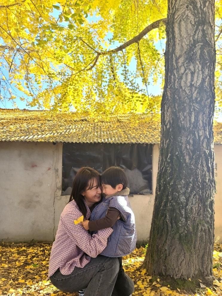41개월 아이와 거창 창포원, 의동마을 가을여행
