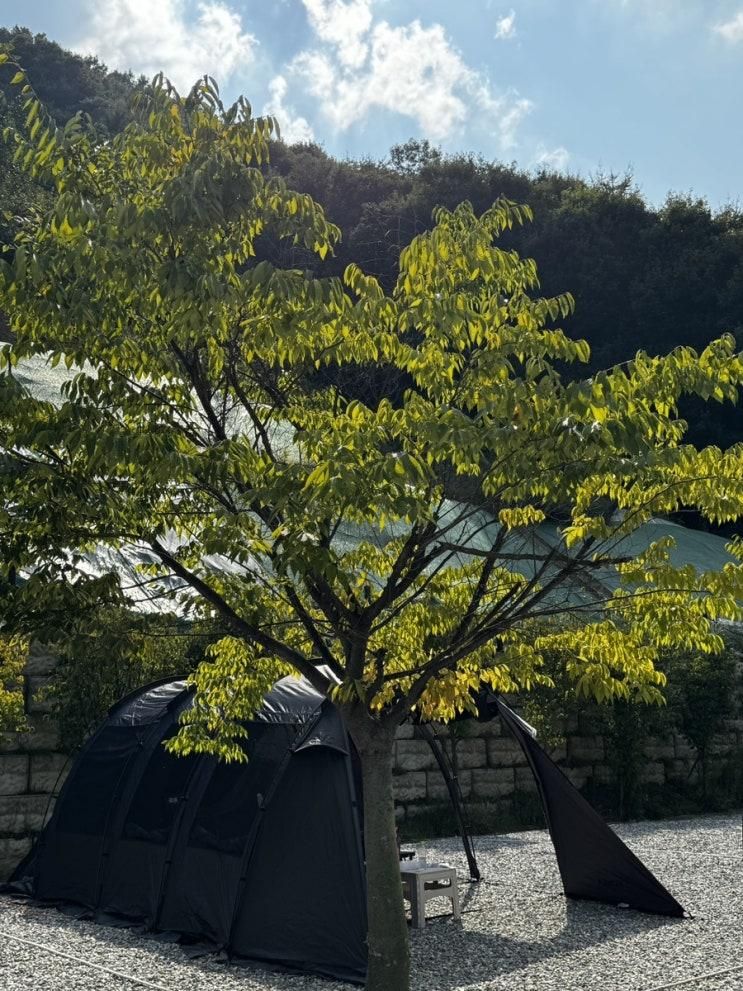 첫 가족 캠핑 기록, 진천 포레스트캠핑장 추천