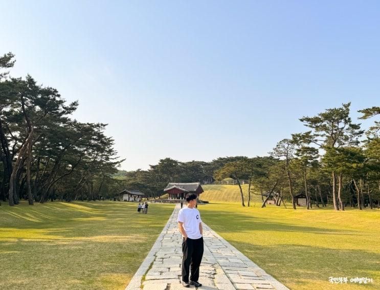 근교 드라이브 경기 여주 아이와 가볼만한곳 세종대왕릉 신륵사