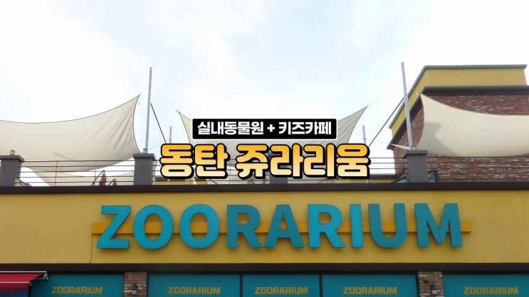 동탄 실내동물원 키즈카페 _ 쥬라리움 동탄점