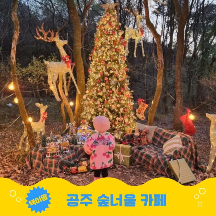 공주 숲너울 카페 숲속 크리스마스트리 포토존