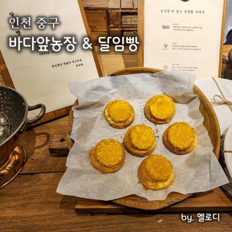 인천 영종도 대형 카페 디저트 바다앞농장 달임빵
