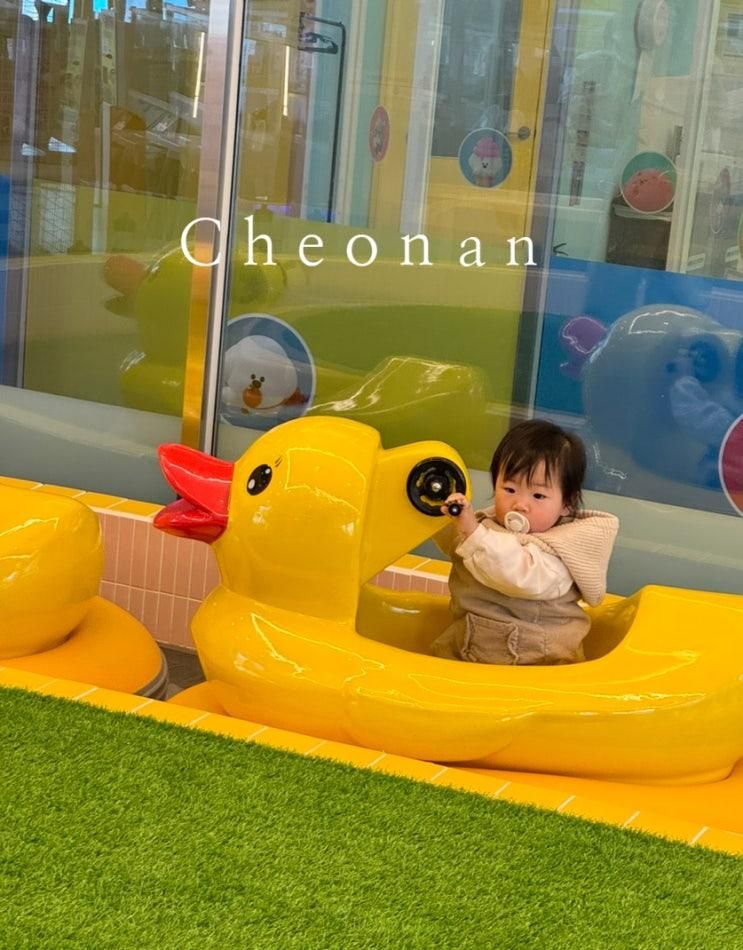 천안 테테루 드림랜드 오리배 있는 키즈카페
