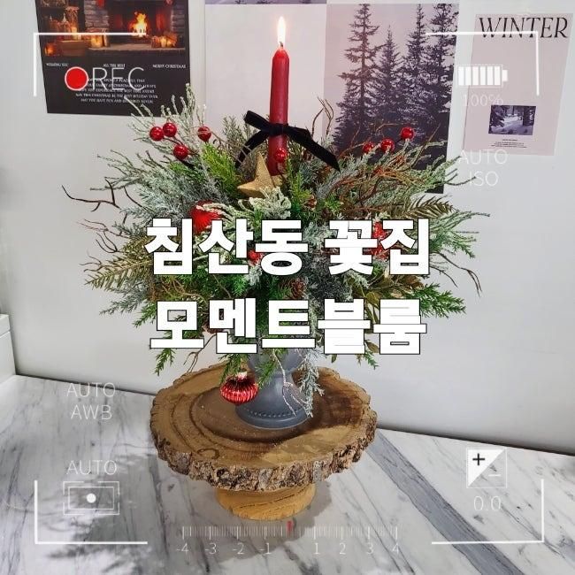 대구 북구 침산동 꽃집 " 모멘트블룸 " 크리스마스 조화...