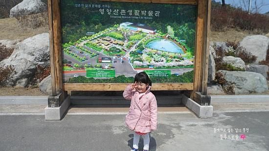 <경북영양> 영양산촌생활박물관