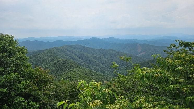 청양 칠갑산...천장호 출렁다리,장곡사,장승공원