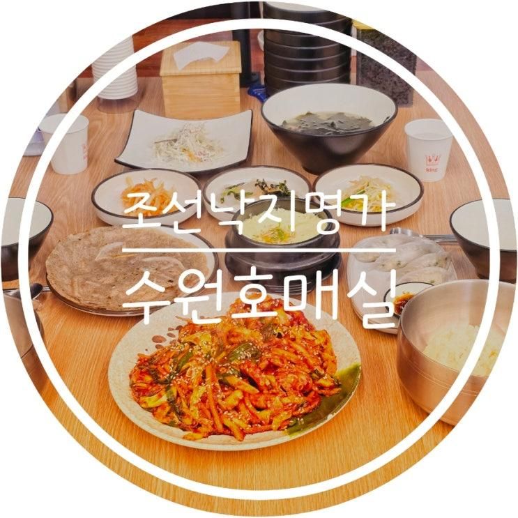 오목천동맛집 조선낙지명가 낙지덮밥 맛있는 곳 낙지가 실하고...