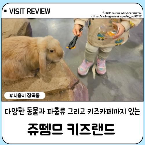 [시흥키즈카페] 쥬뗌므 키즈랜드_시흥 아이랑 갈만한 곳...