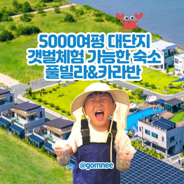 선재도단체펜션 갯벌체험 아이랑 선재해림풀빌라