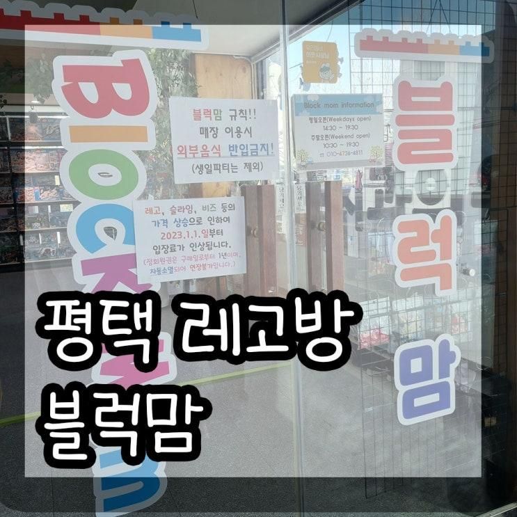평택 아이랑 함께 레고방 / 블럭맘 방문기