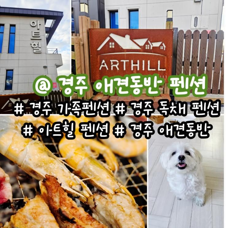 경주 가족 펜션 애견동반 독채 아트힐 펜션