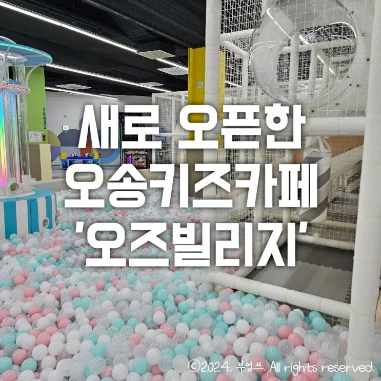 새로 오픈한 오송키즈카페 추천 '오즈빌리지' 내돈내산 솔직후기
